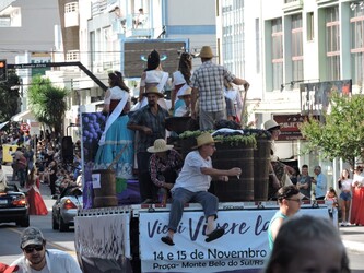 municipio-participa-de-desfile-na-fenavindima